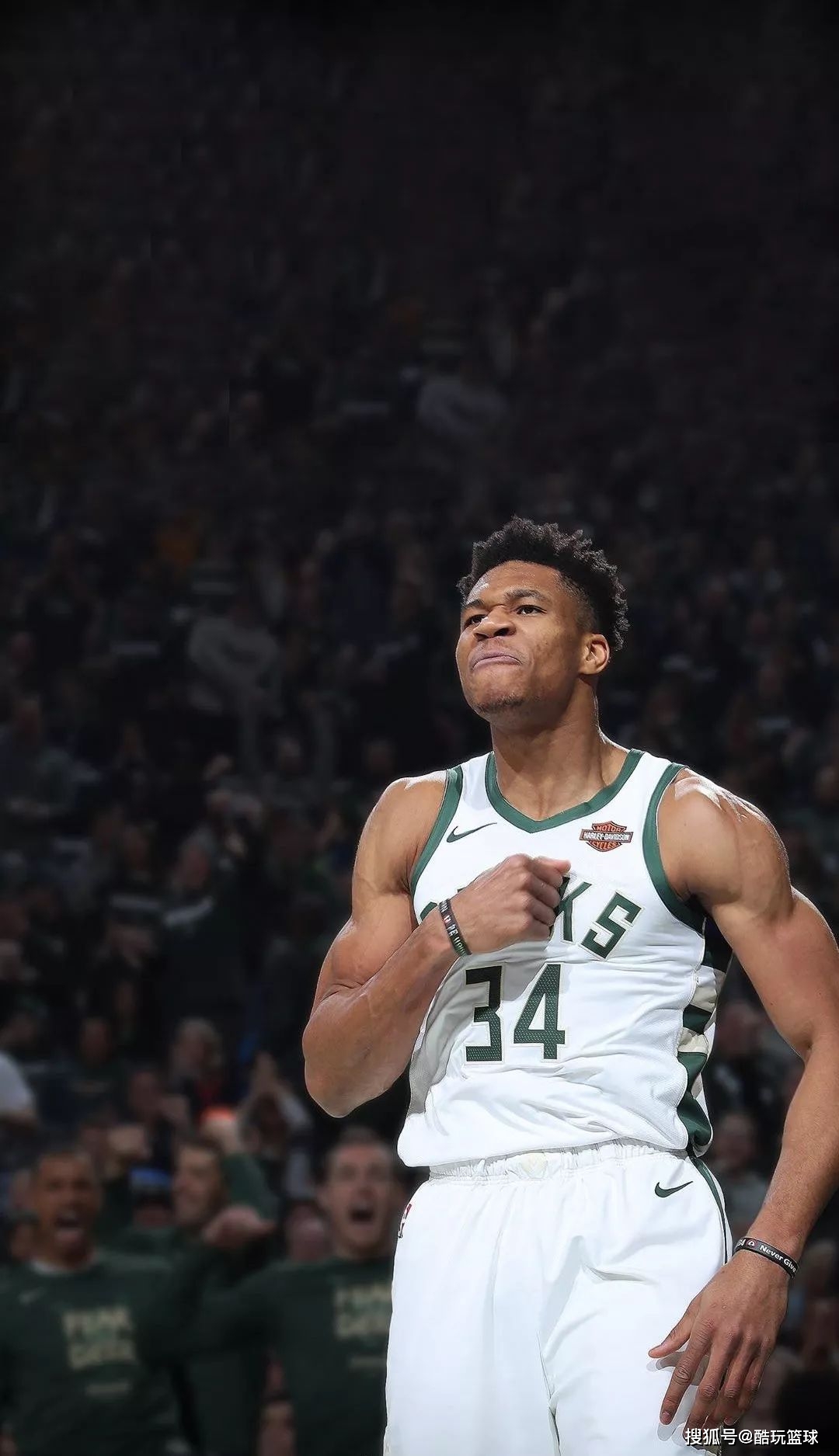 周最佳出炉：贾马尔·穆雷场均轰29.8分7.5助 杰伦·布朗率队4-0（周最佳揭晓：贾马尔·穆雷场均29.8分7.5助攻，杰伦·布朗率队周内4战全胜）